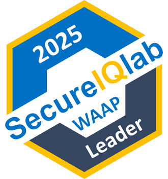 Security Illustration